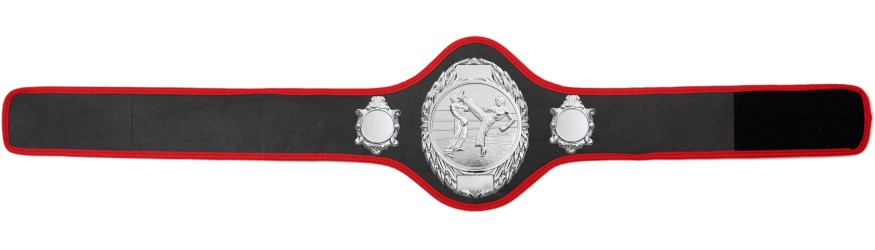 KICKBOXING CHAMPIONSHIP BELT-PRO286/S/KBOS-10+ COLOURS